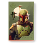 Dysk zewnętrzny Seagate FireCuda Star Wars Boba Fett HDD 2TB (STKL2000406)