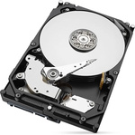 Dysk twardy Seagate ST6000DM003 Barracuda 6TB SATA III 3,5" (ST6000DM003) USZKODZONY