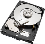 DYSK HDD 3.5 SEAGATE SKYHAWK ST4000VX013 4TB