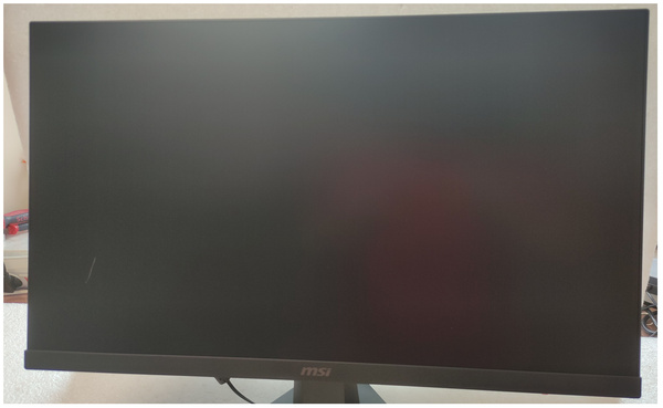 Monitor LED MSI MAG 256F 24,5 " 1920 x 1080 px IPS / PLS (MAG 256F) USZKODZONY