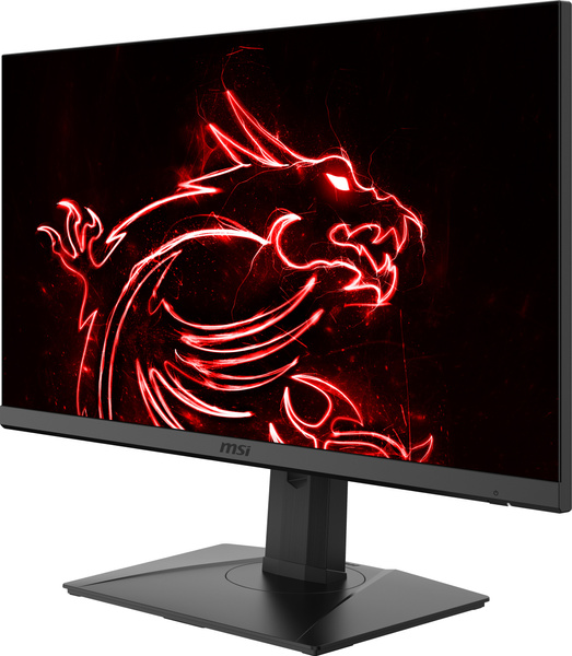 Monitor gamingowy MSI G272QPF 2560 x 1440 (WQHD) 170Hz