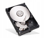 Dysk twardy HDD Seagate SkyHawk 2TB 3,5" SATA USZKODZONY (ST2000VX017)