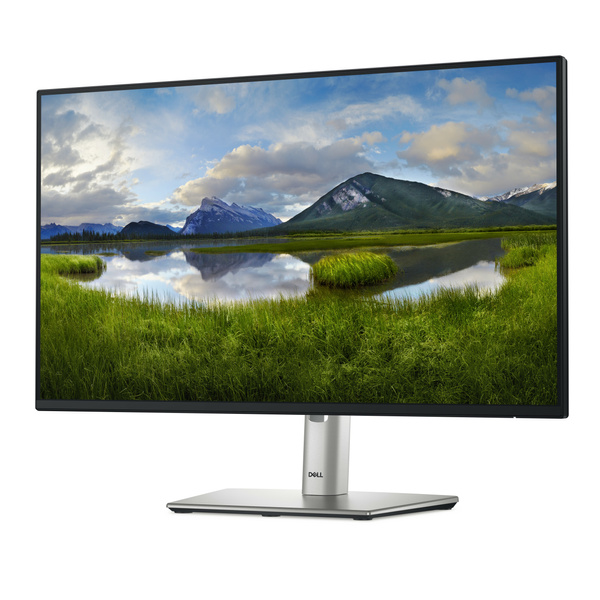 Monitor LED Dell P2425HE USB-C 23,8" 1920 x 1080 px IPS / PLS (210-BMJB)