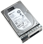 Dysk serwerowy HDD z kieszenią DELL Seagate EXOS 7E8 3.5'' 1TB ST1000NM004A