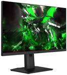 Monitor MSI Optix G251PF 
