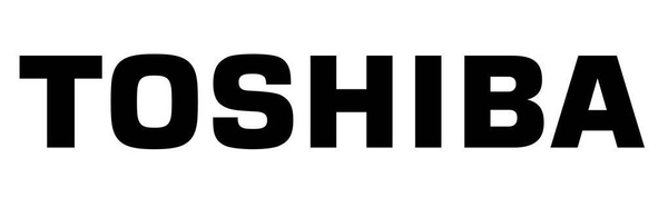 DYSK HDD 3.5 TOSHIBA NAS N300 (HDWG21E) 14TB