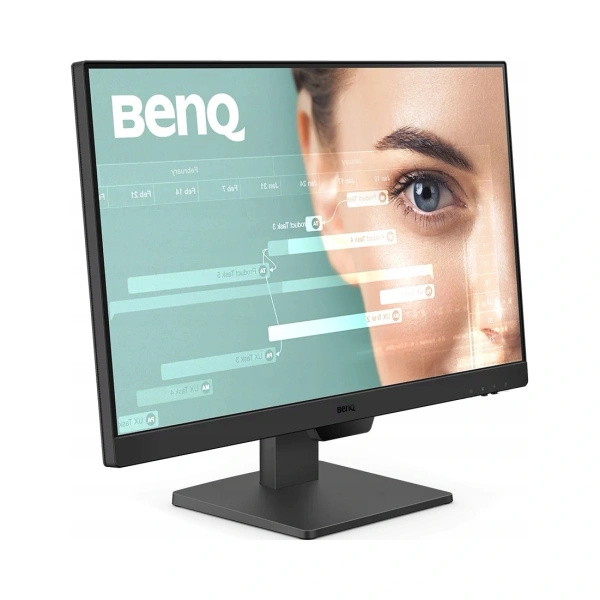 Monitor BenQ GW2490 (W)