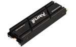 Dysk SSD Kingston Fury Renegade M.2 500GB M.2 PCIe (SFYRSK/500G)