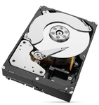 Dysk HDD Seagate IronWolf 10TB (ST10000VN000)