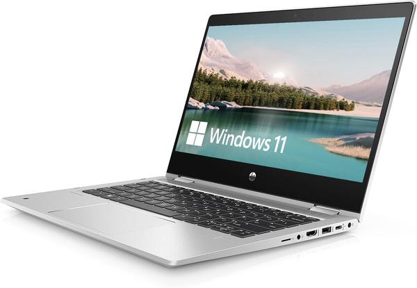 HP ProBook X360 435 G7 (1F3L5EA#AKD)