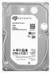 Dysk HDD Seagate IronWolf 10TB (ST10000VN000)