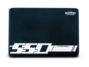 Dysk Goldkey SSD 2,5" SATA 120 GB (GKH84-120GB)