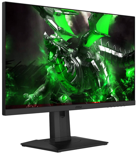 Monitor MSI Optix G251PF 