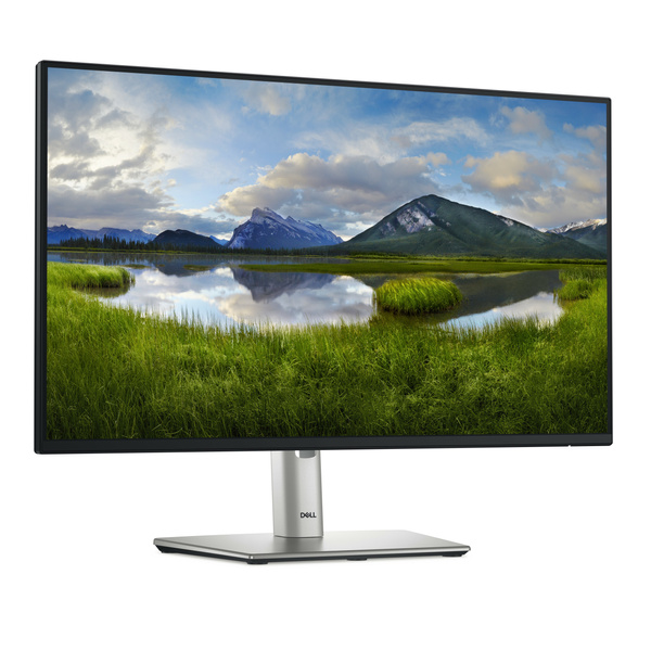 Monitor LED Dell P2425HE USB-C 23,8" 1920 x 1080 px IPS / PLS (210-BMJB)