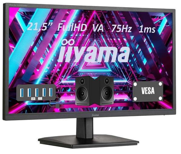 MONITOR IIYAMA PROLITE X2283HSU-B1 21.5 CALA (Uszkodzony)