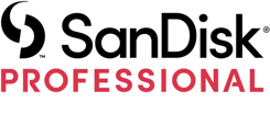 SANDISK PROFESSIONAL G-DRIVE 12TB